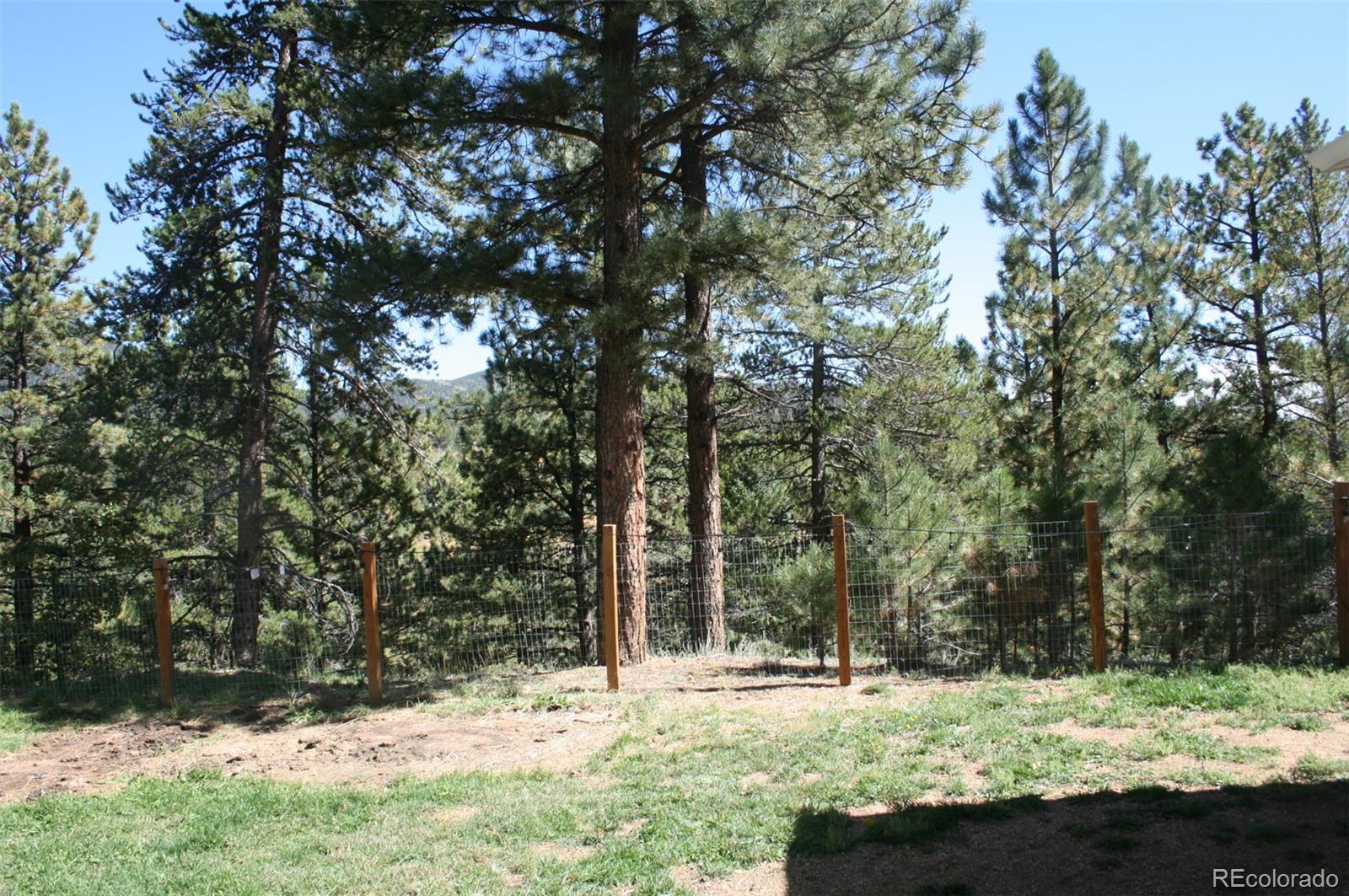 238 Taylor Street Bailey, CO 80421 - Photo 9 of 23 a view of a yard with trees