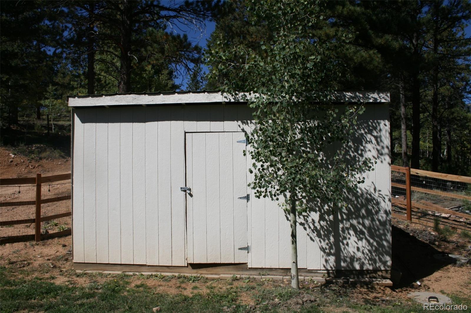 238 Taylor Street Bailey, CO 80421 - Photo 10 of 23 a view of a house with a tree