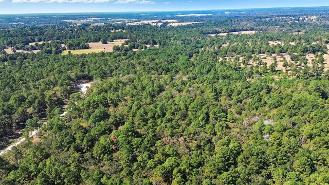an aerial view of a houses with a yard