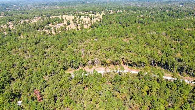 a view of a lush green forest with a lush green forest
