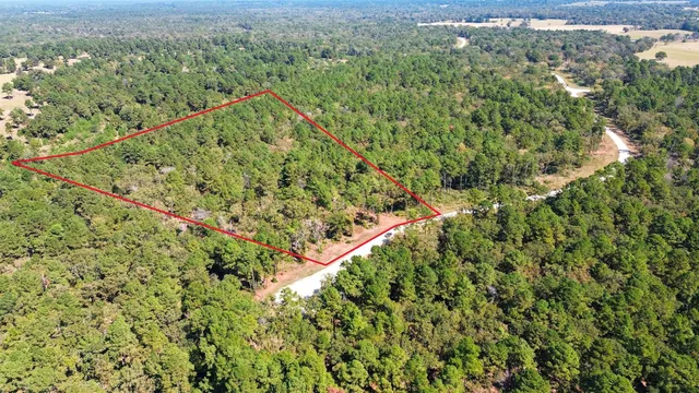 a view of a city with lush green forest