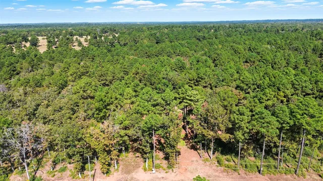 a view of a field of grass and some trees