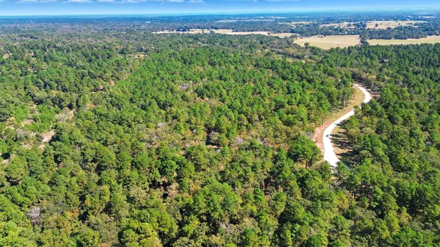an aerial view of a houses with a yard