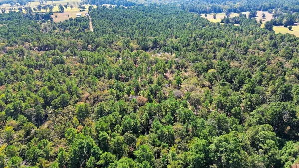 $114,000 | 60 County Road 114, Centerville, TX 75833