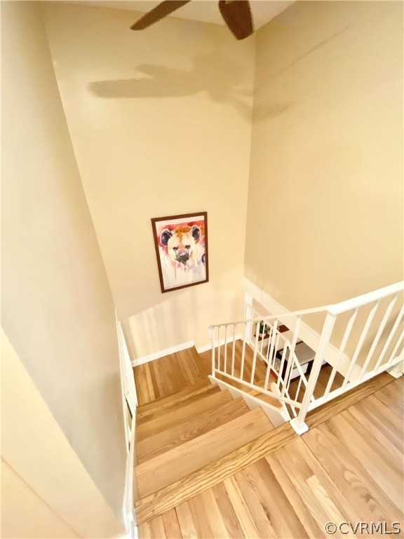 10108 Purcell Road Henrico, VA 23228 - Photo 14 of 20 Gallery Image 14