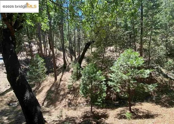 a view of outdoor space with trees