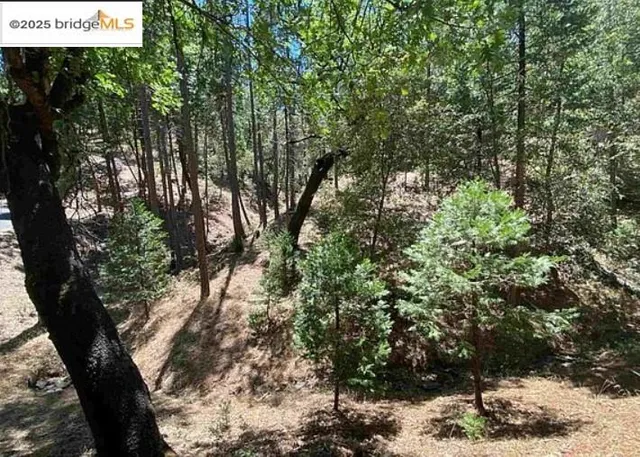 $25,000 | 12000 Trapper Court, Groveland, CA 95321