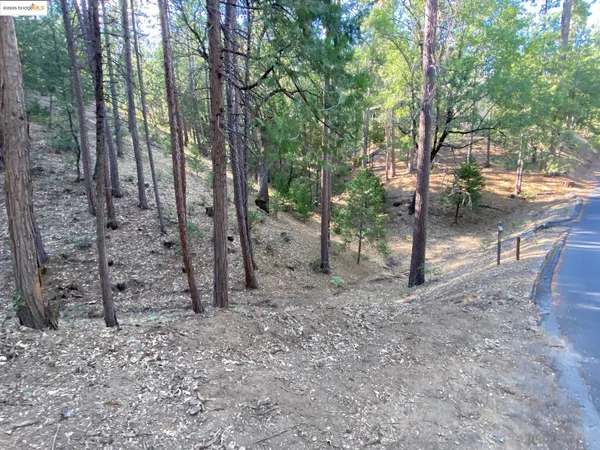 a black and white photo of a book