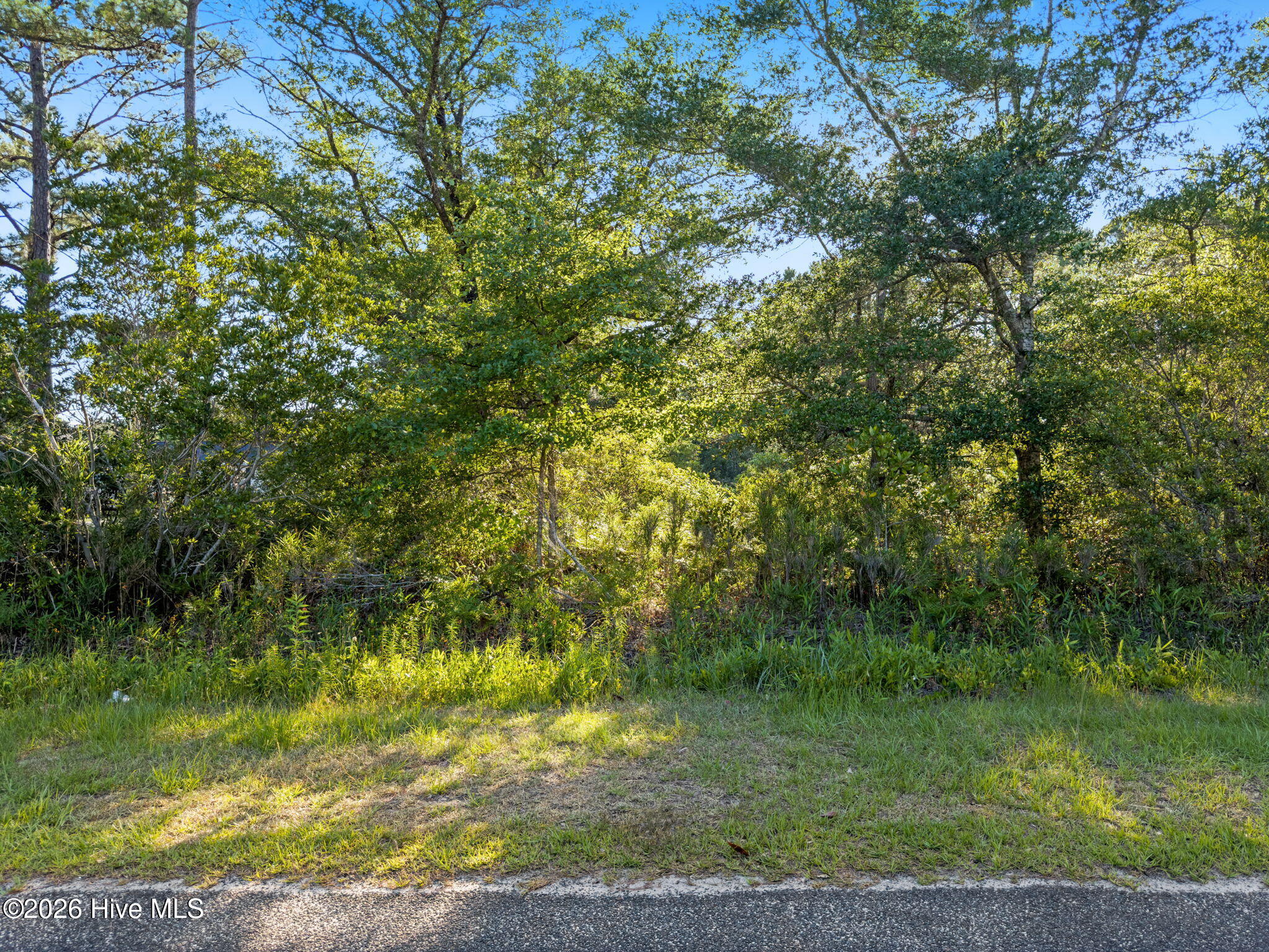 2675 Nags Head Road Southwest Supply, NC 28462 - Photo 2 of 27