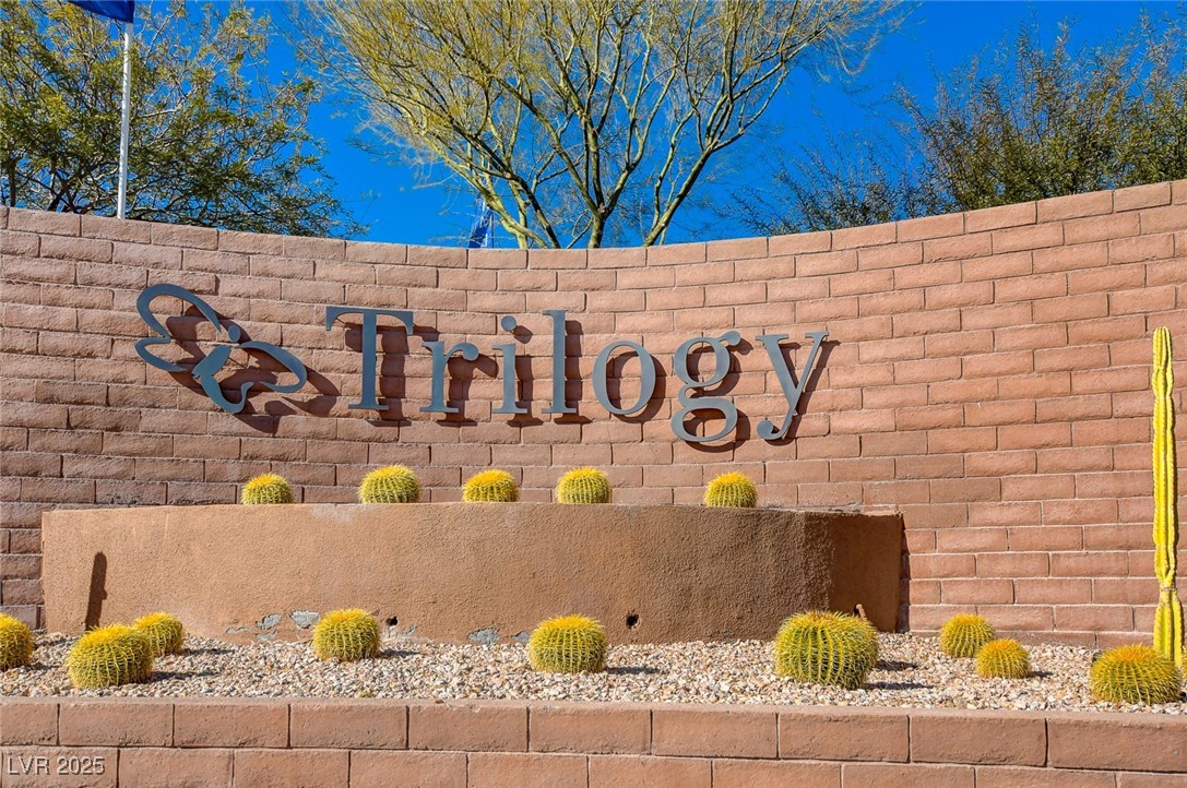 4274 Solace Street Las Vegas, NV 89135 - Photo 41 of 53