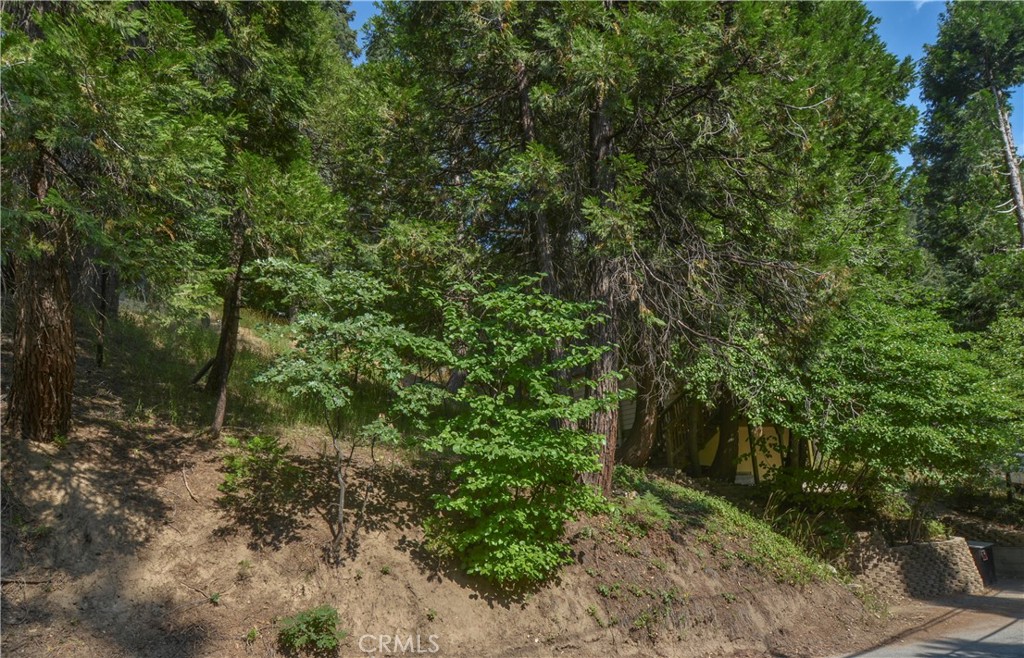 761 Arrowhead Villa Road Lake Arrowhead, CA 92352 - Photo 25 of 31 a view of a forest with trees in the background