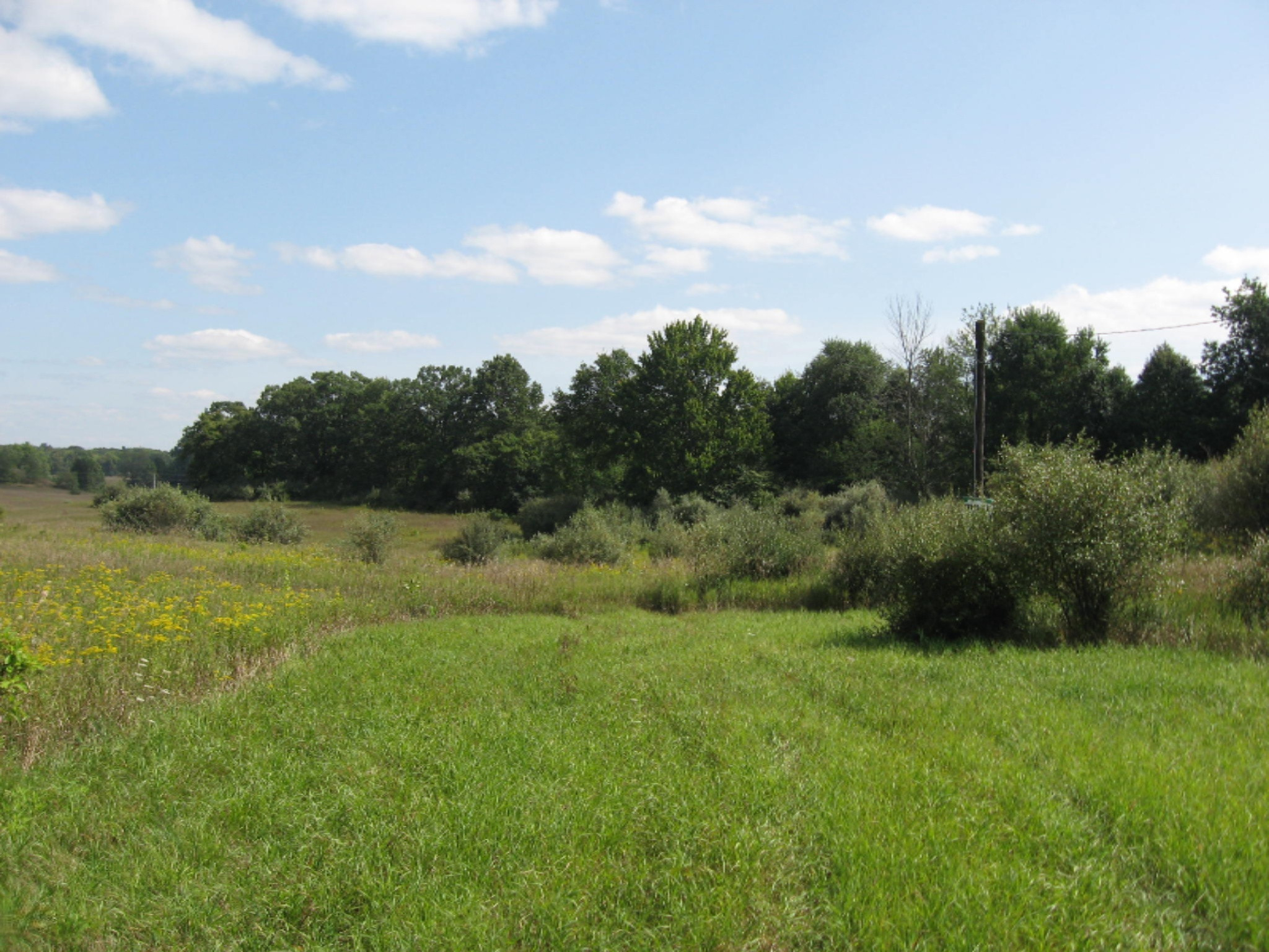 10575 13 Mile Road Rodney, MI 49342 - Photo 2 of 5 IMG_1512