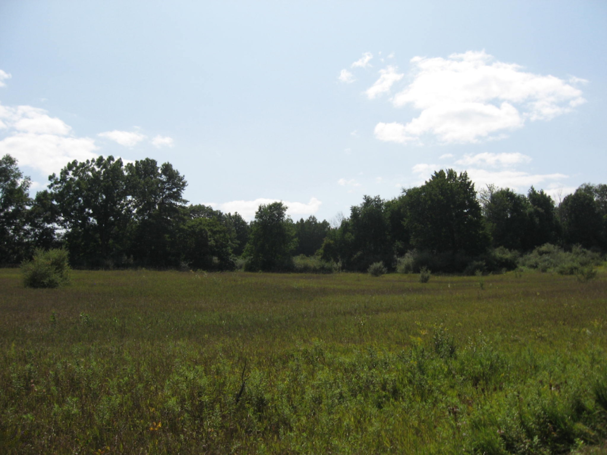 10575 13 Mile Road Rodney, MI 49342 - Photo 3 of 5 IMG_1513