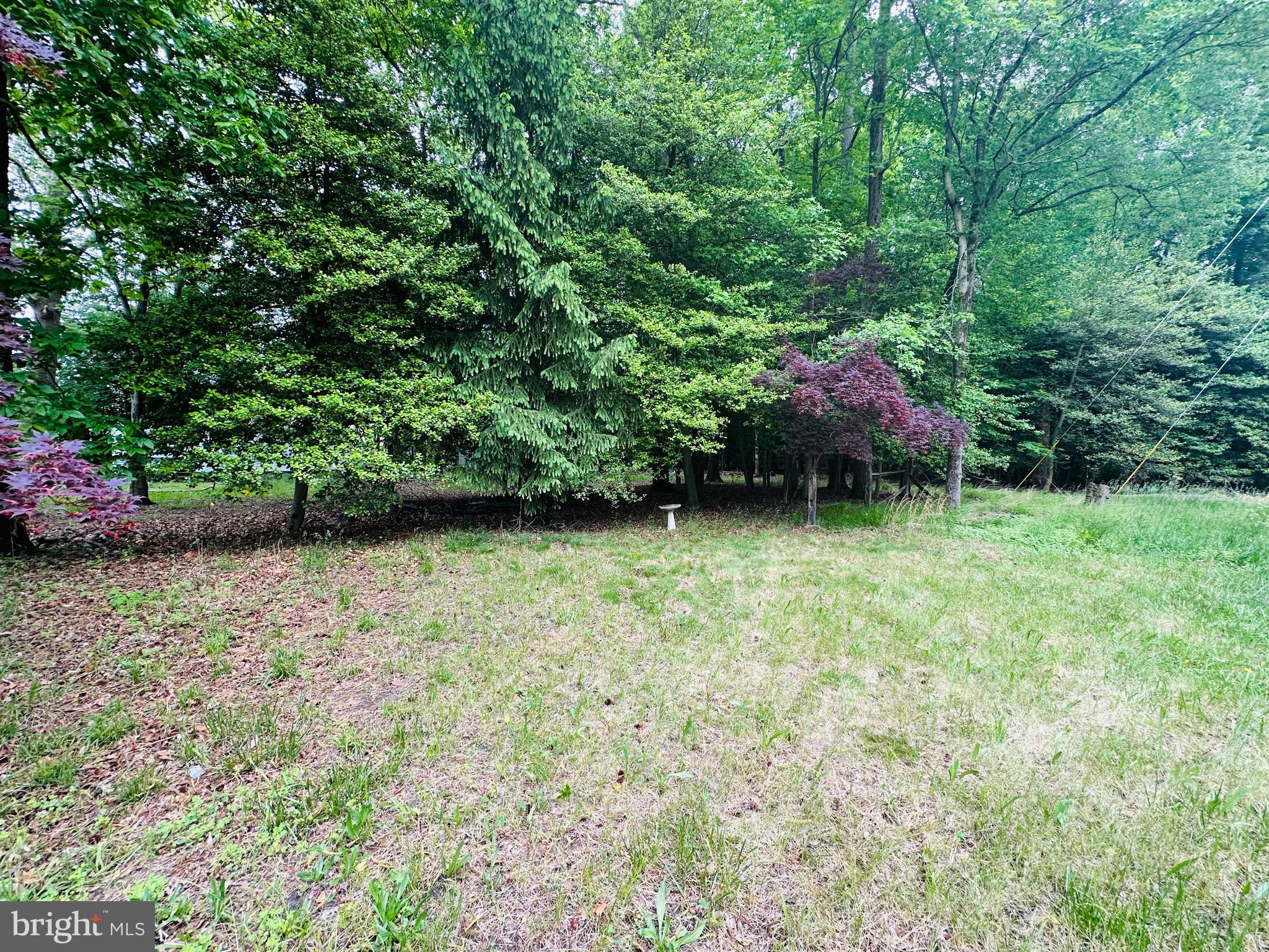 4 Signal Hill Road Pine Hill, NJ 08021 - Photo 7 of 12