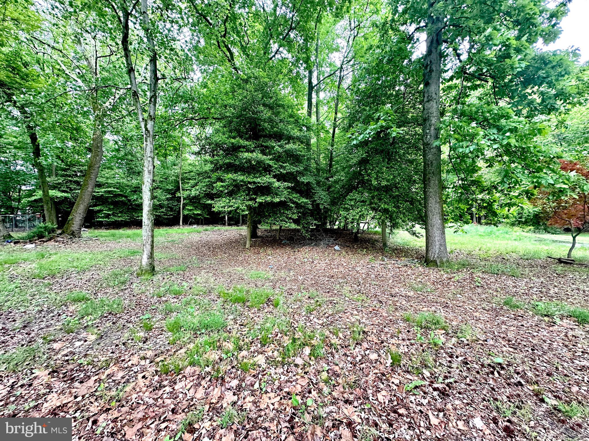 4 Signal Hill Road Pine Hill, NJ 08021 - Photo 8 of 12