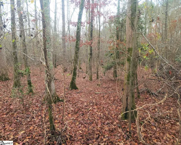 $381,730 | Scott Lane, Pelzer, SC 29669