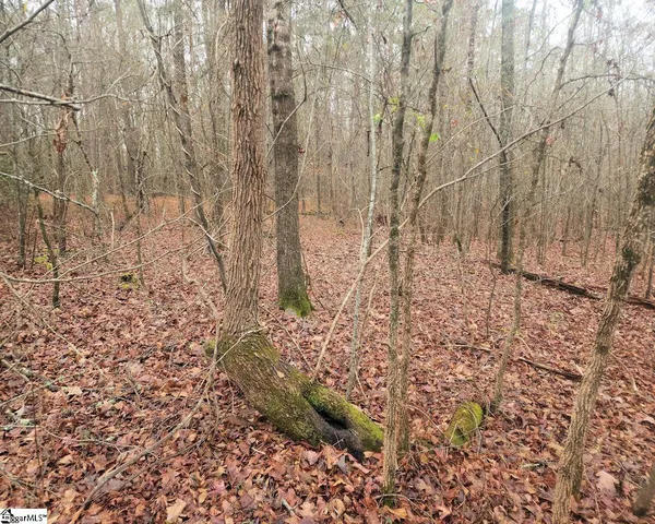 $381,730 | Scott Lane, Pelzer, SC 29669