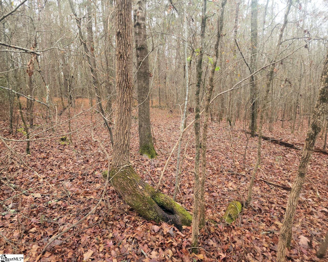 Scott Lane Pelzer, SC 29669 - Photo 13 of 19