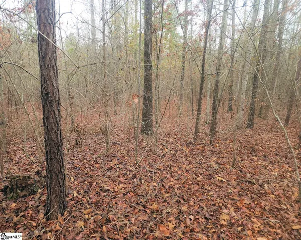 $381,730 | Scott Lane, Pelzer, SC 29669