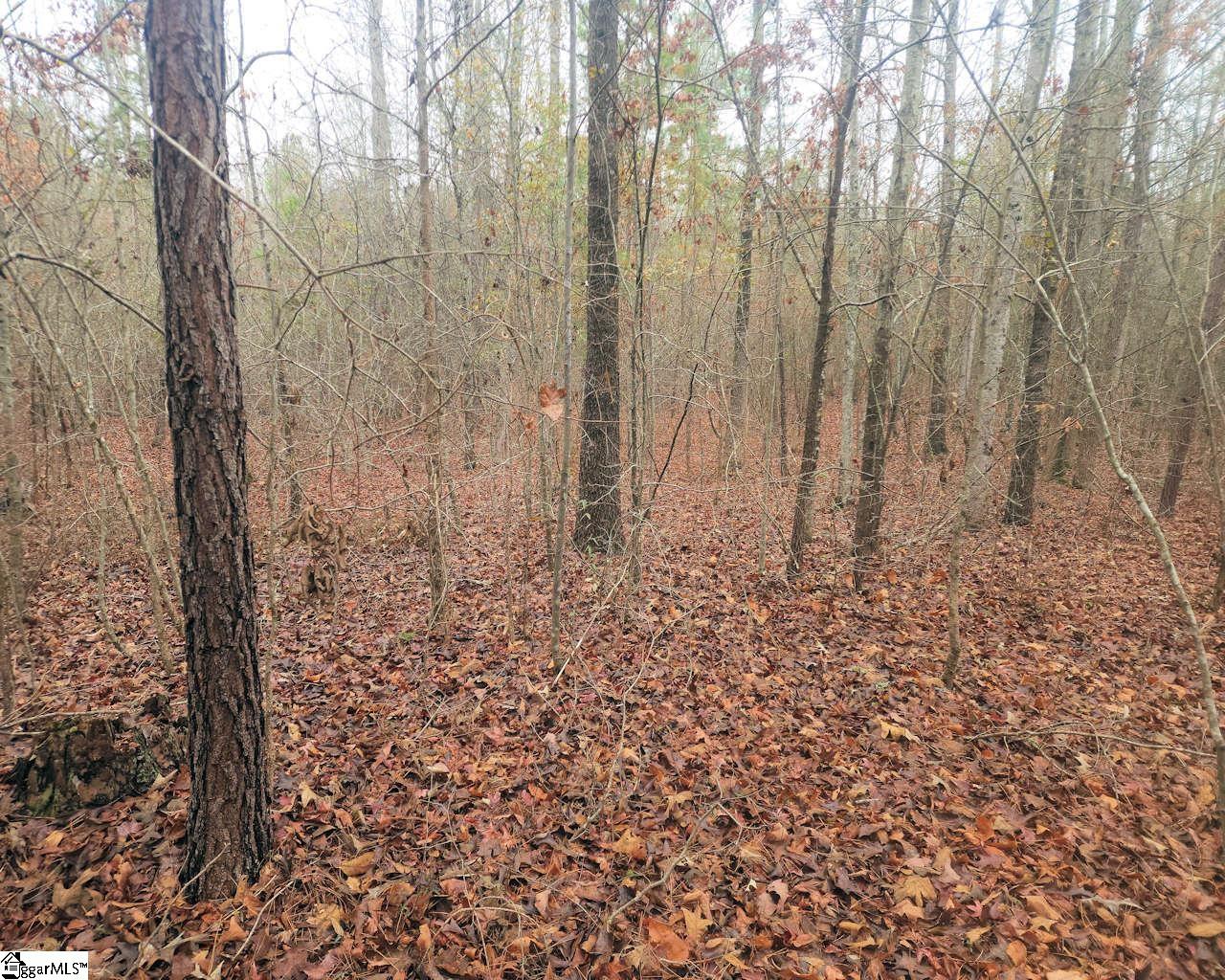 Scott Lane Pelzer, SC 29669 - Photo 14 of 19