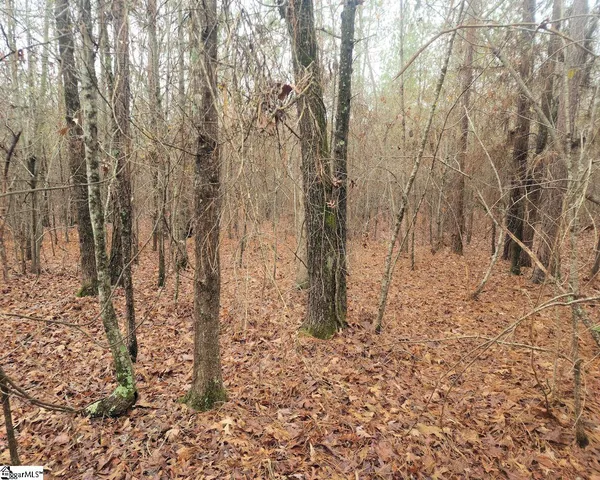 $381,730 | Scott Lane, Pelzer, SC 29669