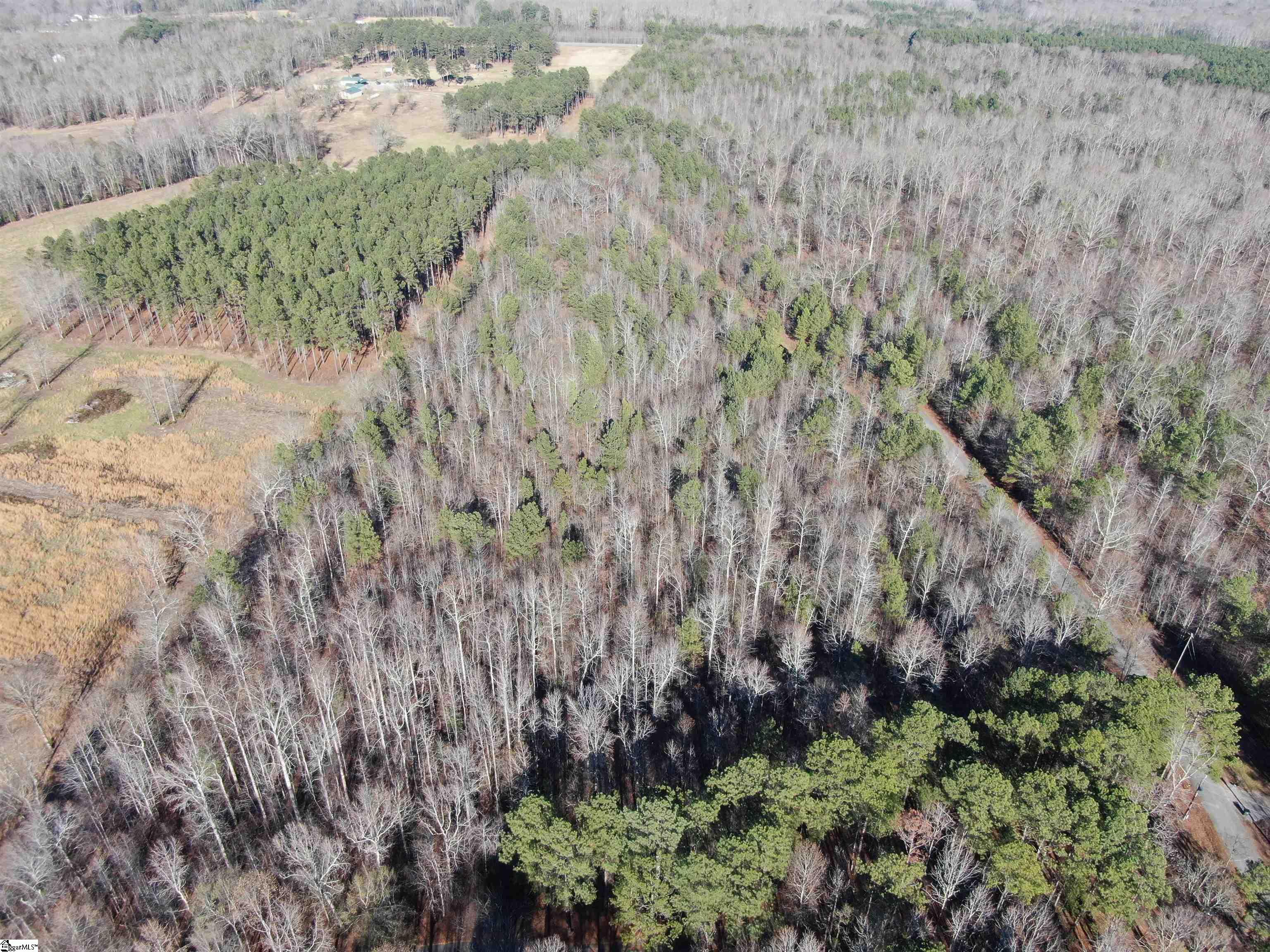 Scott Lane Pelzer, SC 29669 - Photo 17 of 19