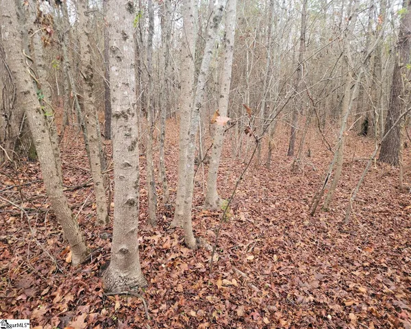 $381,730 | Scott Lane, Pelzer, SC 29669