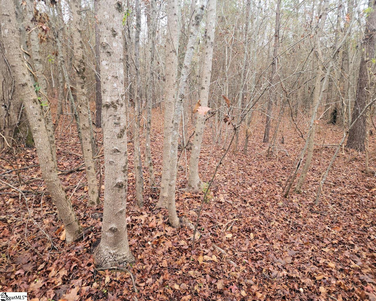 Scott Lane Pelzer, SC 29669 - Photo 4 of 19