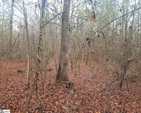 $381,730 | Scott Lane, Pelzer, SC 29669