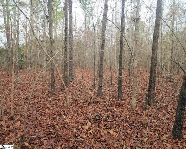 $381,730 | Scott Lane, Pelzer, SC 29669