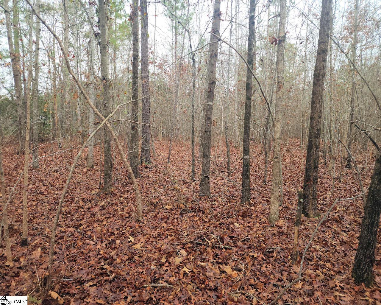 Scott Lane Pelzer, SC 29669 - Photo 6 of 19