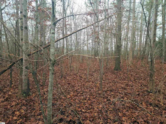 $381,730 | Scott Lane, Pelzer, SC 29669