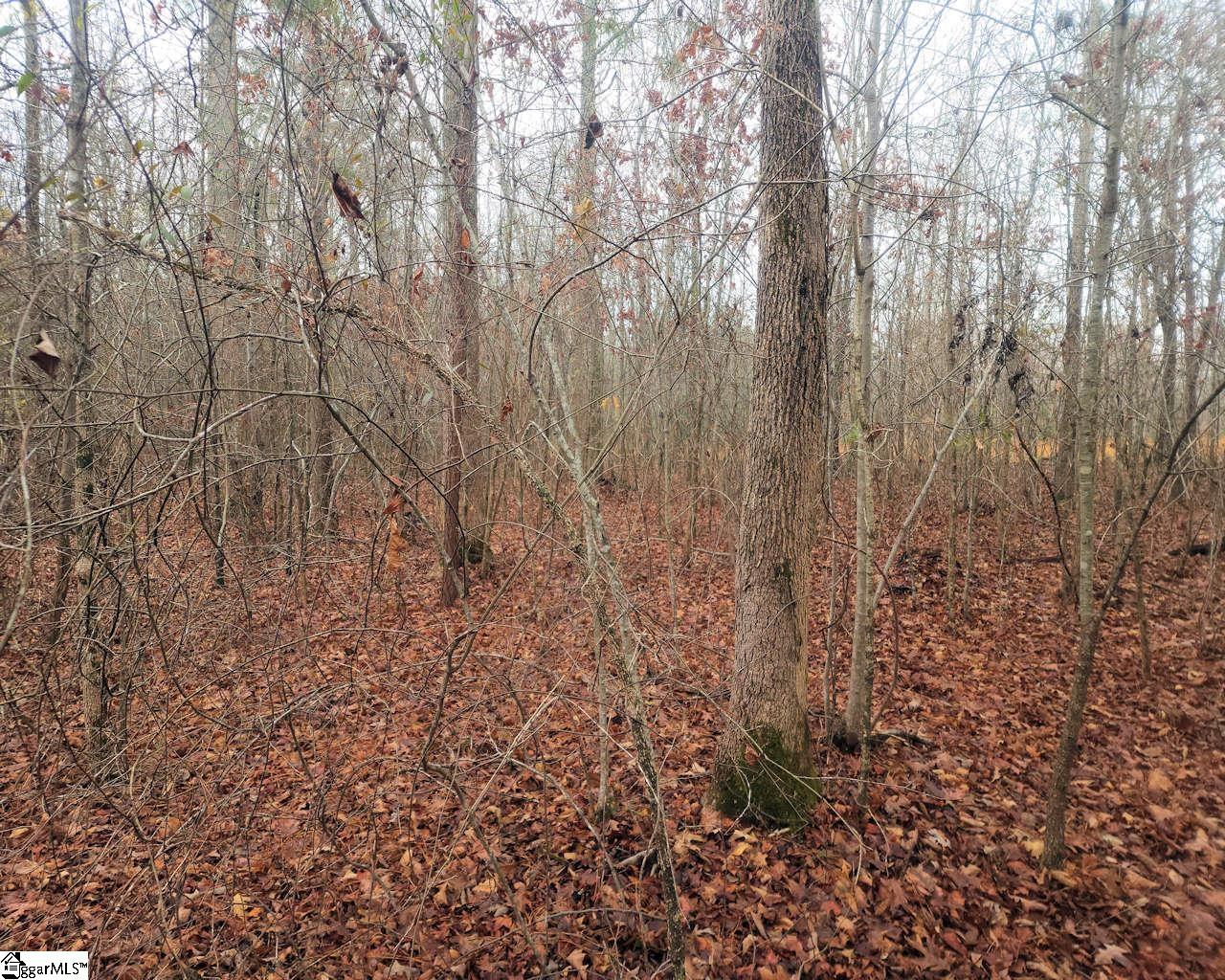 Scott Lane Pelzer, SC 29669 - Photo 8 of 19