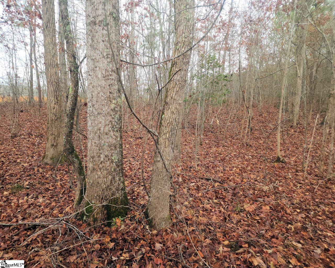 Scott Lane Pelzer, SC 29669 - Photo 9 of 19