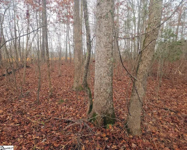 $381,730 | Scott Lane, Pelzer, SC 29669