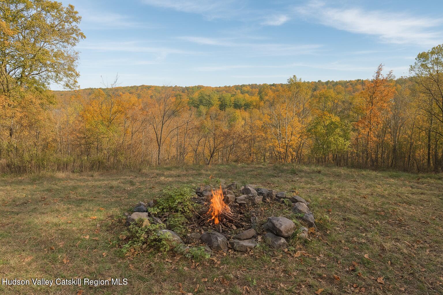 78 Ridge Way Catskill, NY 12414 - Photo 36 of 40 a view of a dry yard with trees