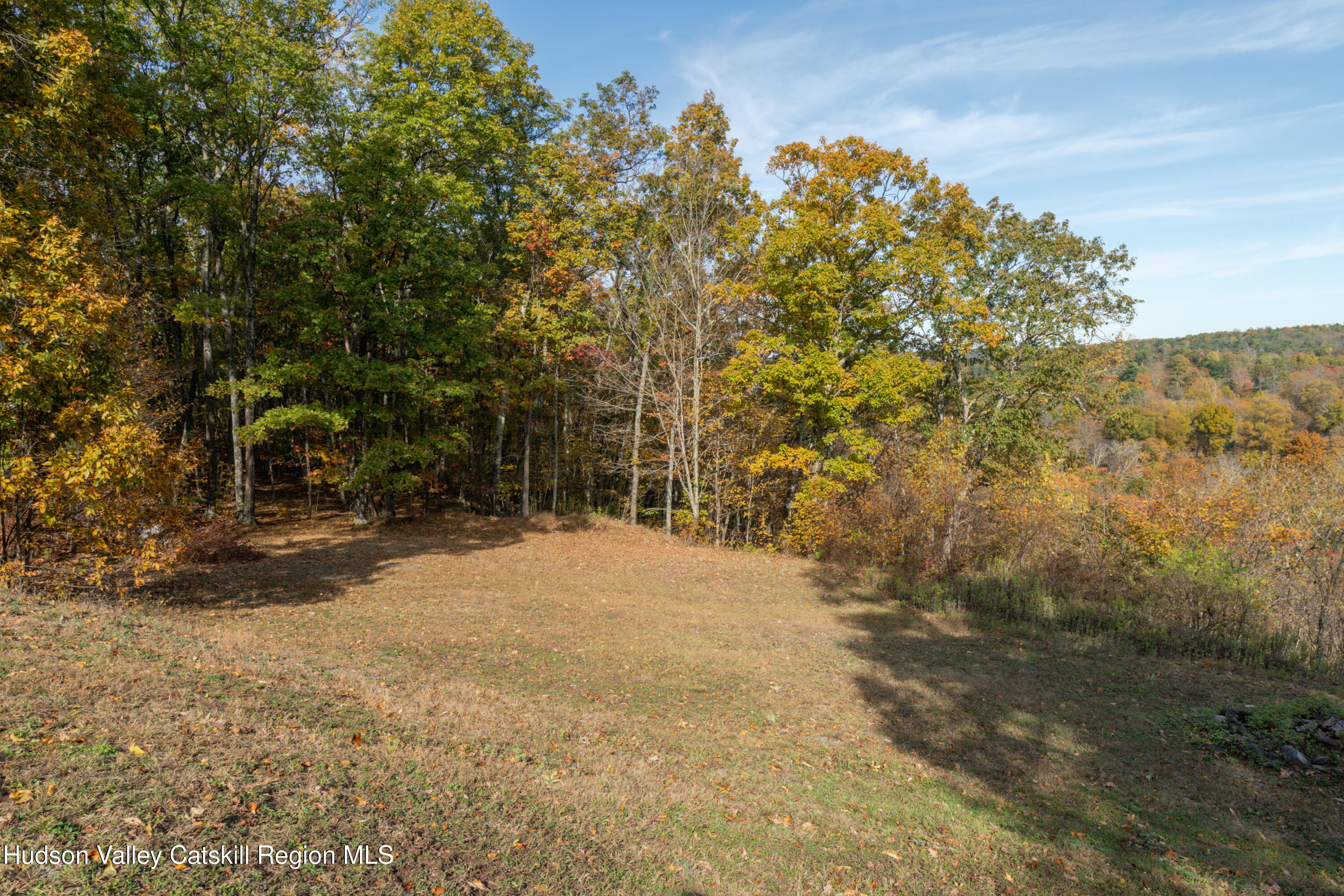 78 Ridge Way Catskill, NY 12414 - Photo 37 of 40 a view of a yard with a tree