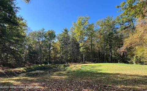 a view of a yard with an trees