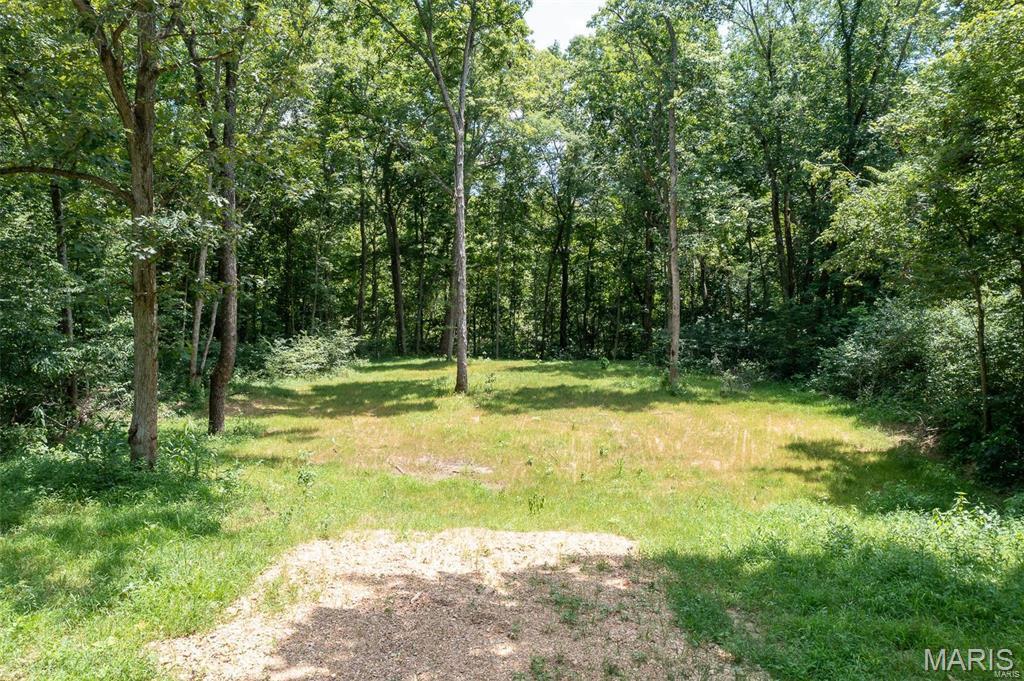 0 Tract 1 Off Madison 320 Marquand, MO 63655 - Photo 2 of 10