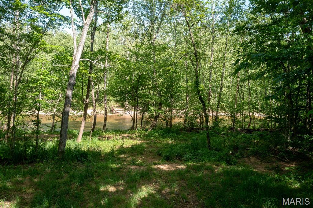 0 Tract 1 Off Madison 320 Marquand, MO 63655 - Photo 4 of 10