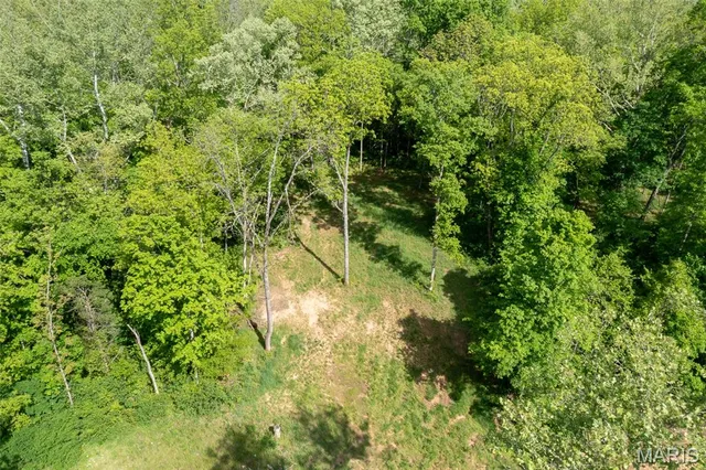 $51,900 | 0 Tract 1 Off Madison 320, Marquand, MO 63655