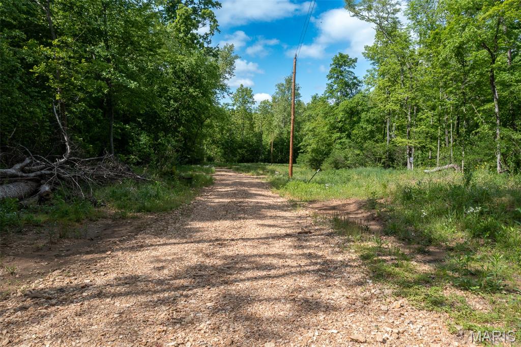 0 Tract 1 Off Madison 320 Marquand, MO 63655 - Photo 8 of 10