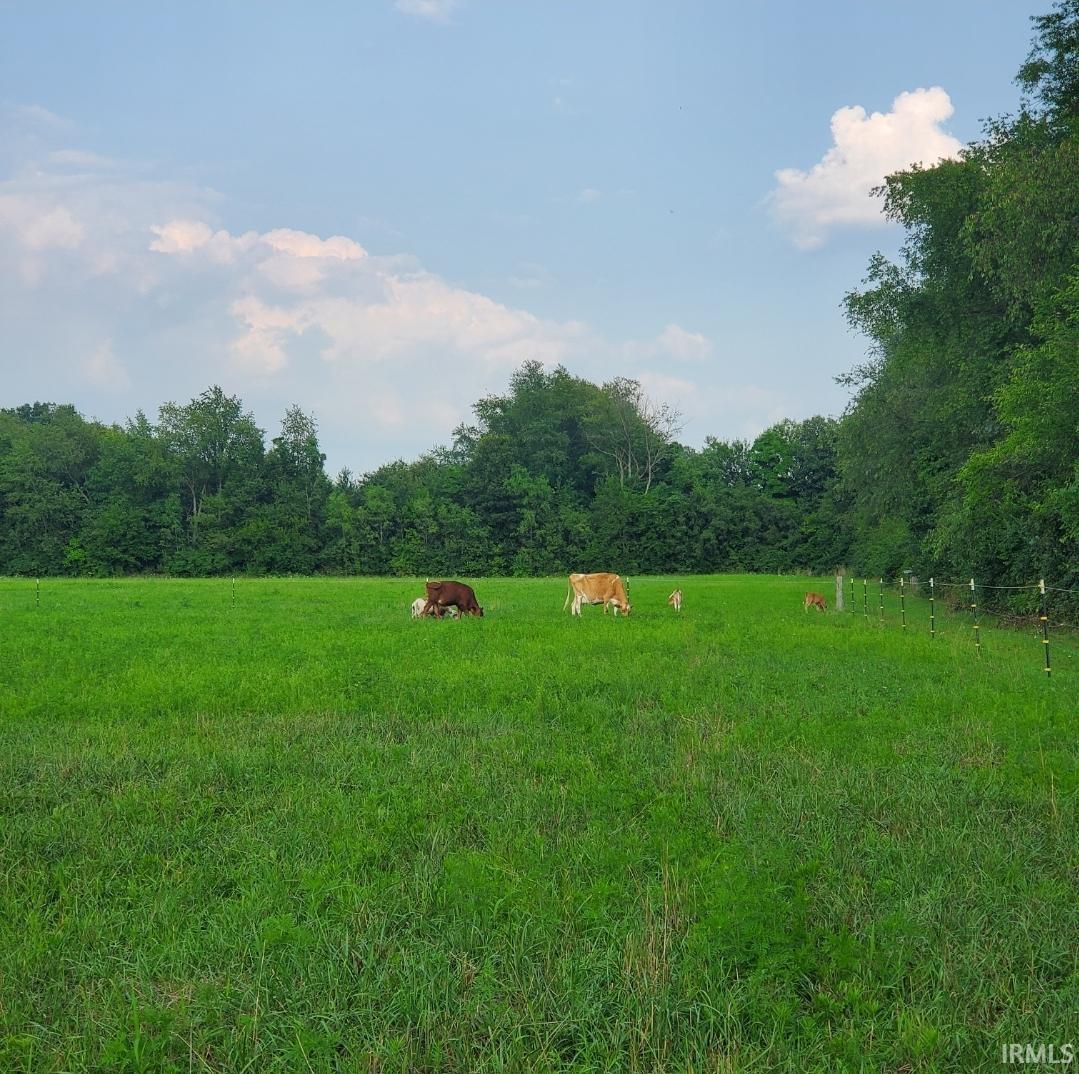 64548 Thorn Road North Liberty, IN 46554 - Photo 29 of 36