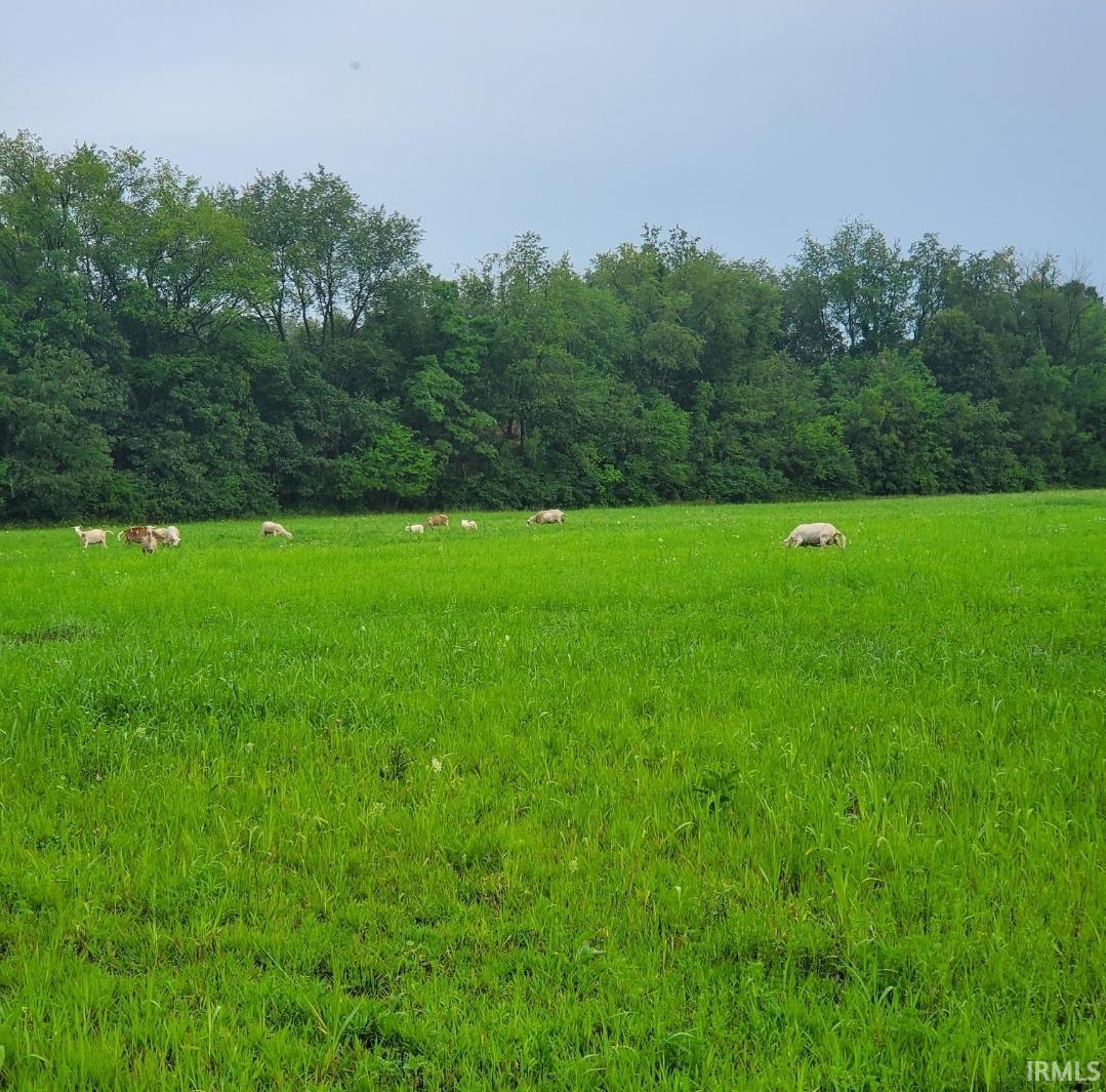 64548 Thorn Road North Liberty, IN 46554 - Photo 30 of 36