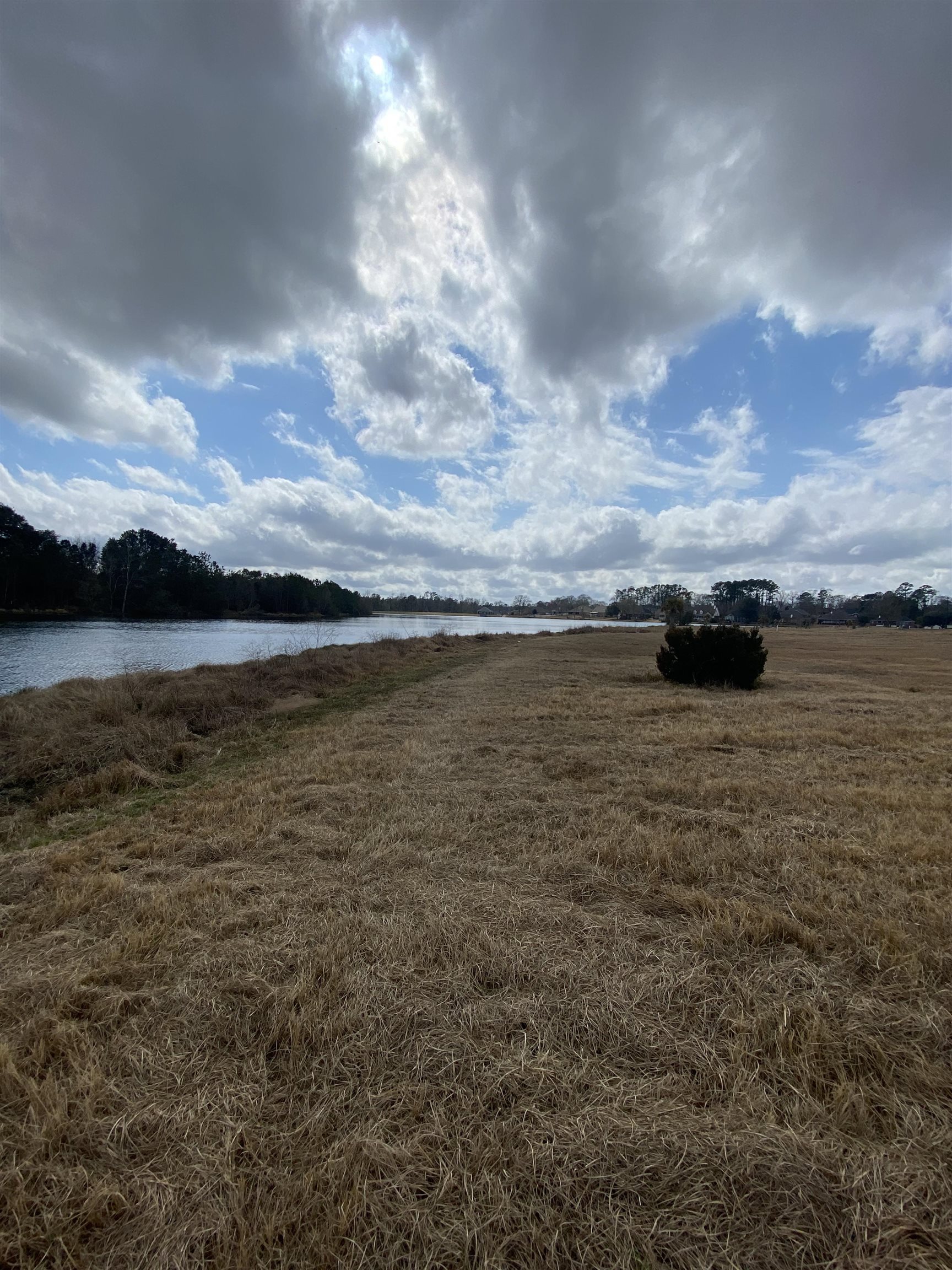 Lot 31 Edgewater Circle Loxley, AL 36551 - Photo 6 of 8