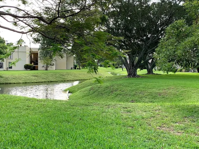 a garden view with large trees