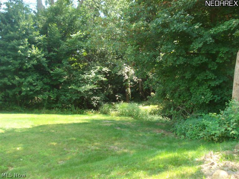 222 Home Street Rittman, OH 44270 - Photo 9 of 11