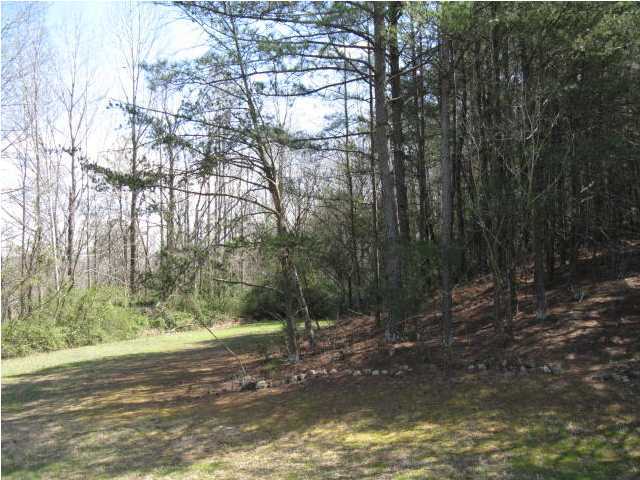 101 Burnt Mill Road Flintstone, GA 30725 - Photo 3 of 16 Additional Photo