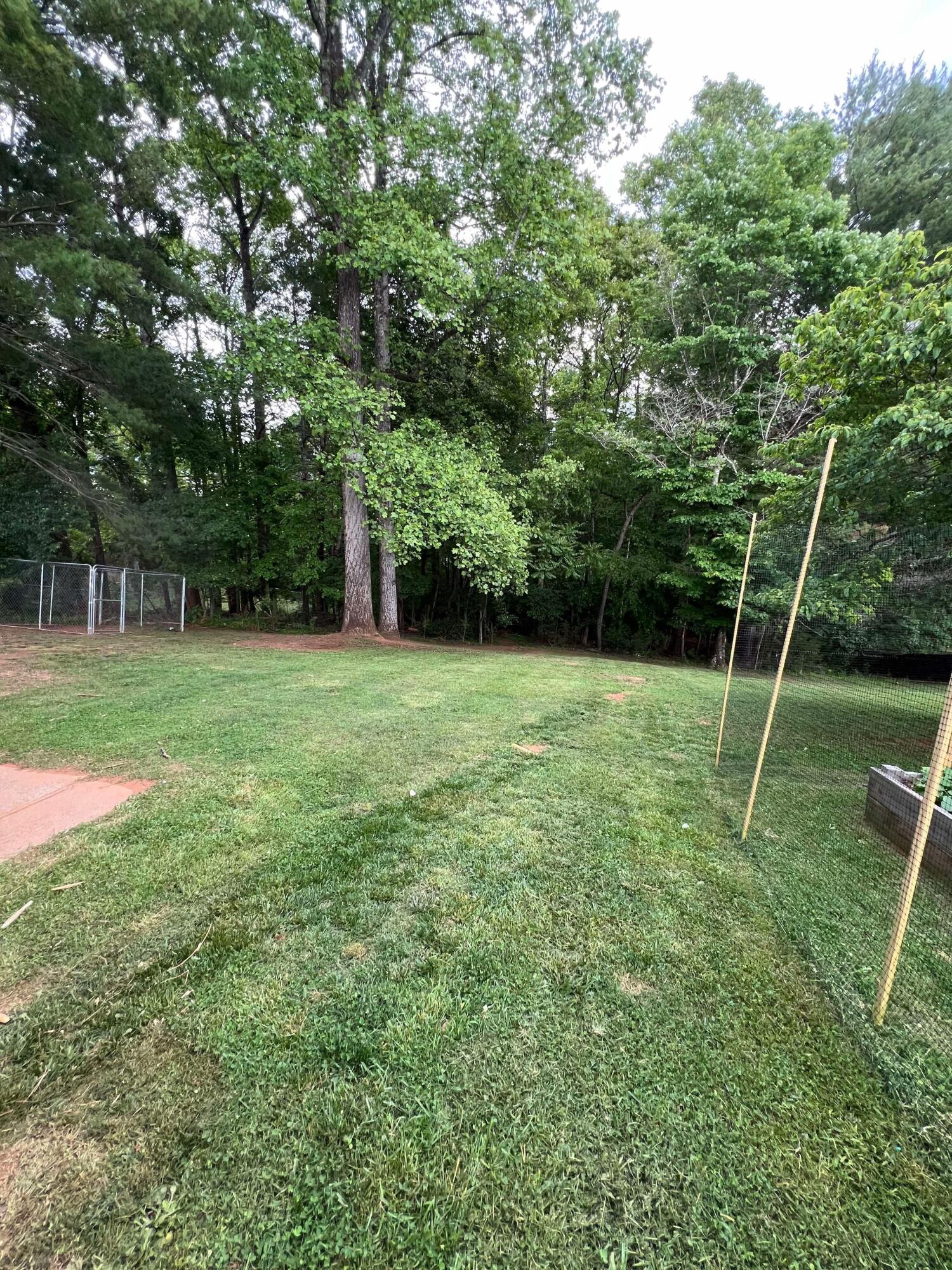 360 Rakes Road Rocky Mount, VA 24151 - Photo 29 of 32 a view of a field with a tree