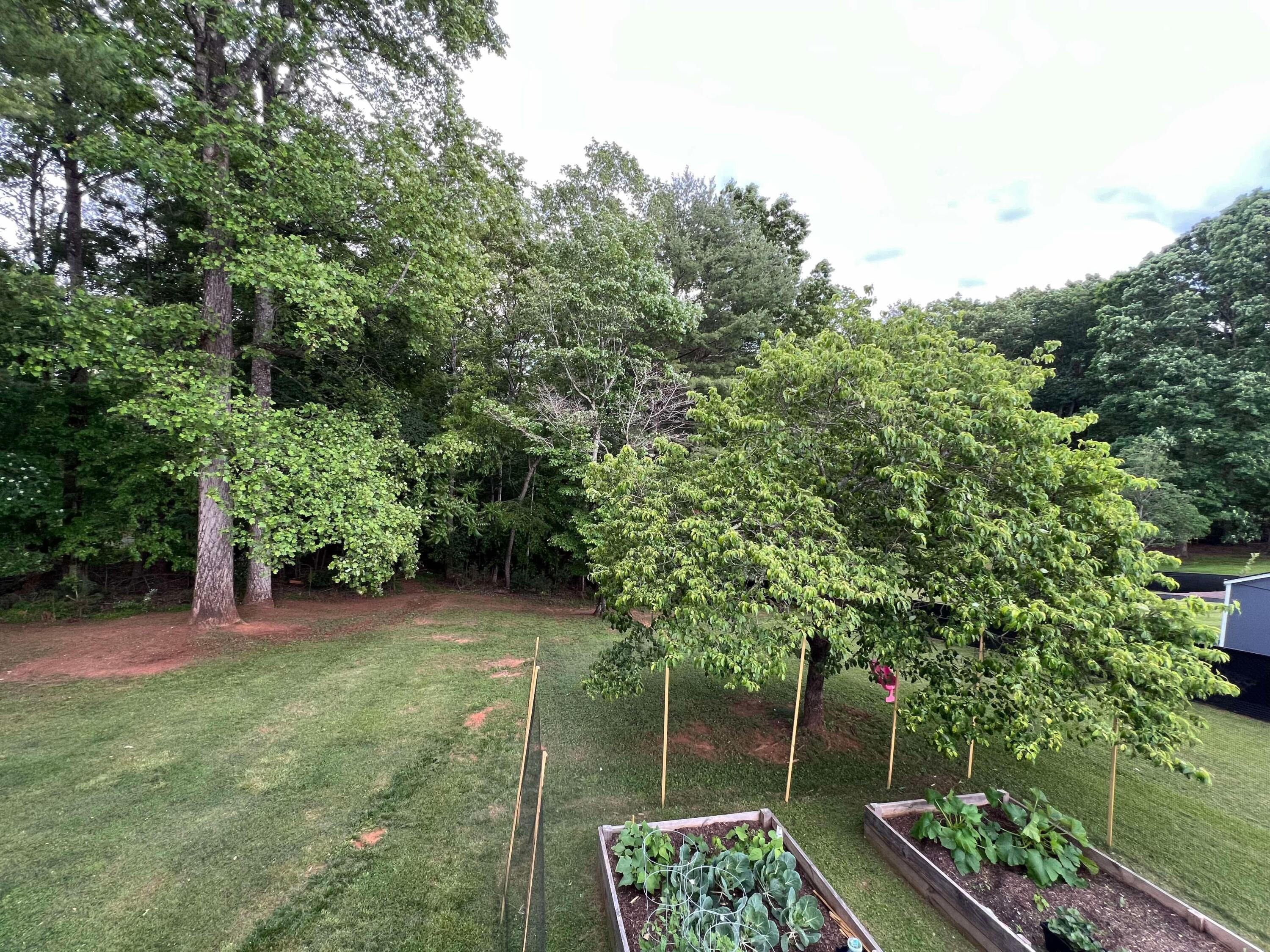 360 Rakes Road Rocky Mount, VA 24151 - Photo 30 of 32 a view of backyard with green space